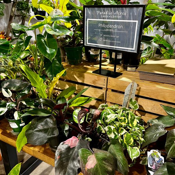 Please stop by to see our beautiful plants.